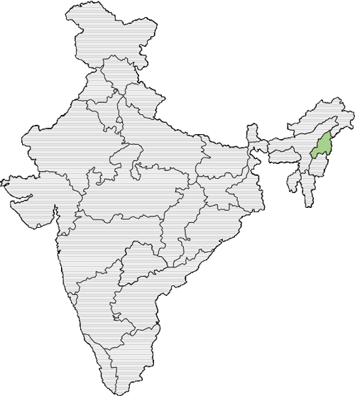 A map of India with Nagaland highlighted red