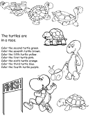 turtle race math worksheet