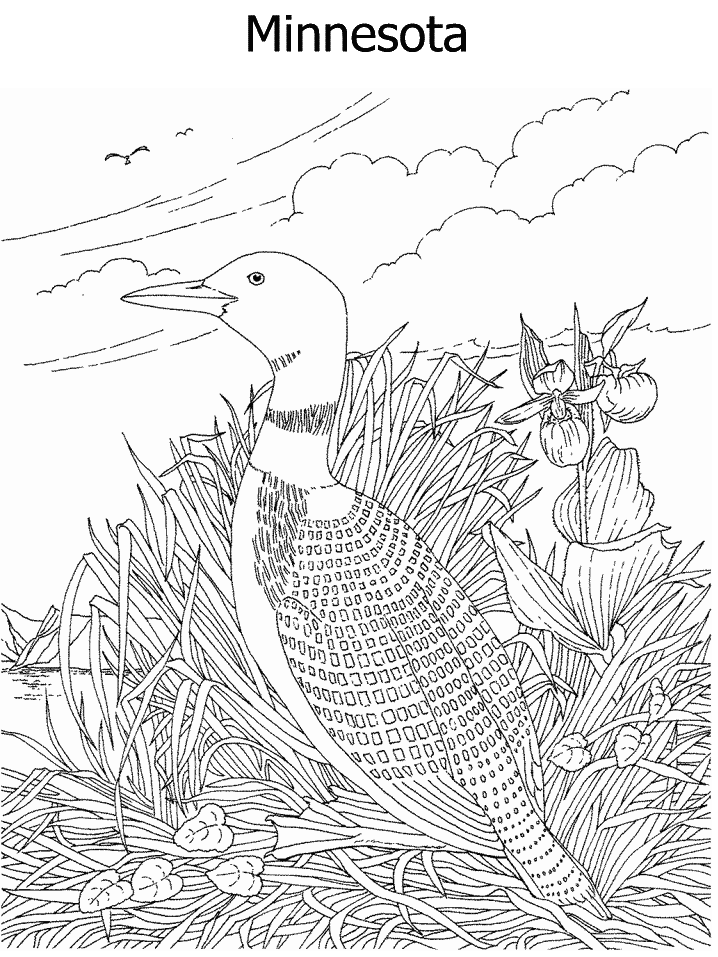 state birds coloring pages - photo #6