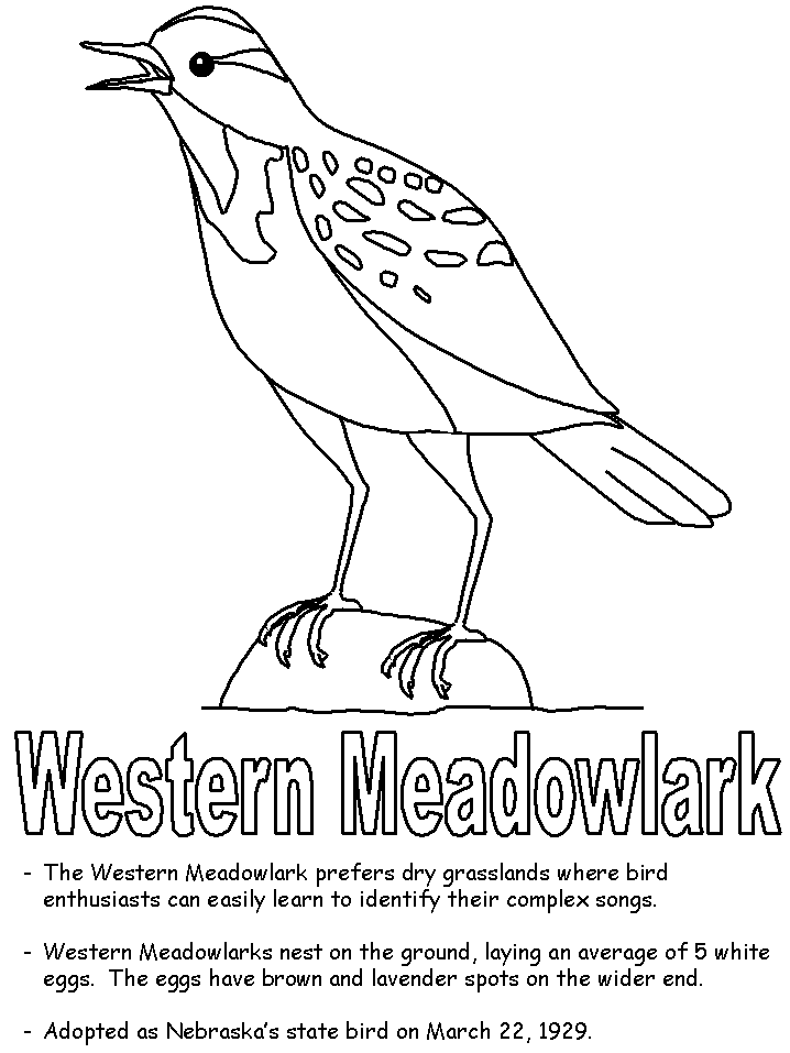 nebraska state symbols coloring pages - photo #3