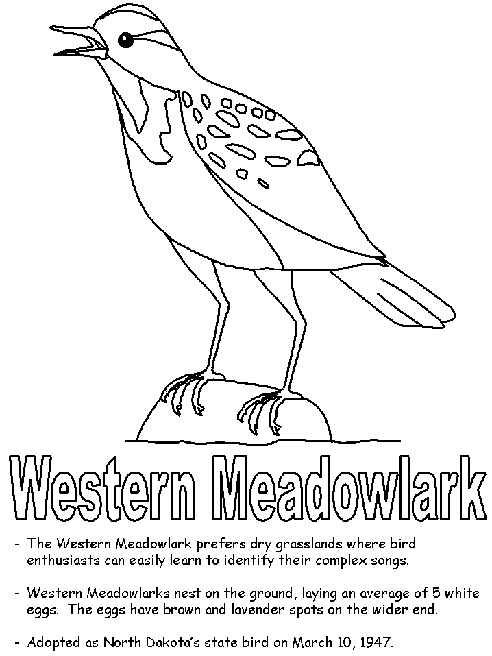 state birds coloring pages - photo #34