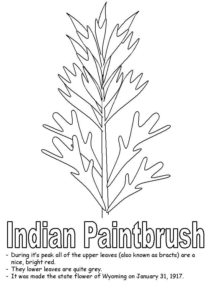 paint brush coloring pages - photo #40