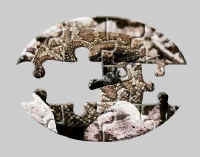 snake puzzles