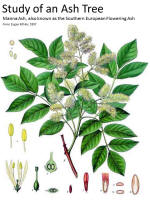 botanical print
