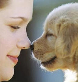 five senses