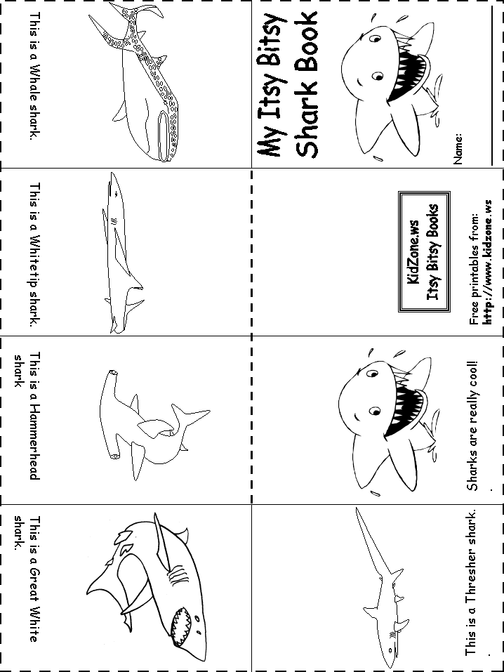 Shark Activity Sheet Itsy Bitsy Shark Book