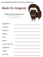 Musk Ox anagram