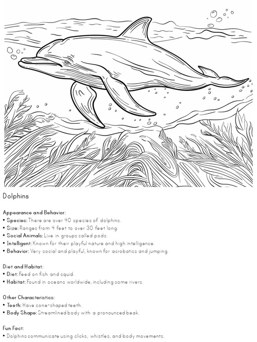 facts about dolphins coloring pages