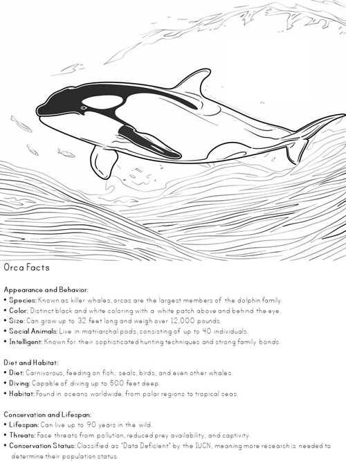 facts about Orca coloring pages
