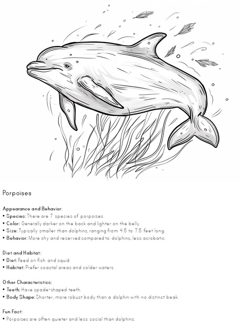 facts about porpoise coloring pages