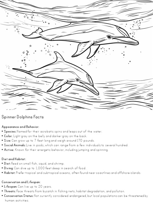 facts about spinner dolphins coloring pages