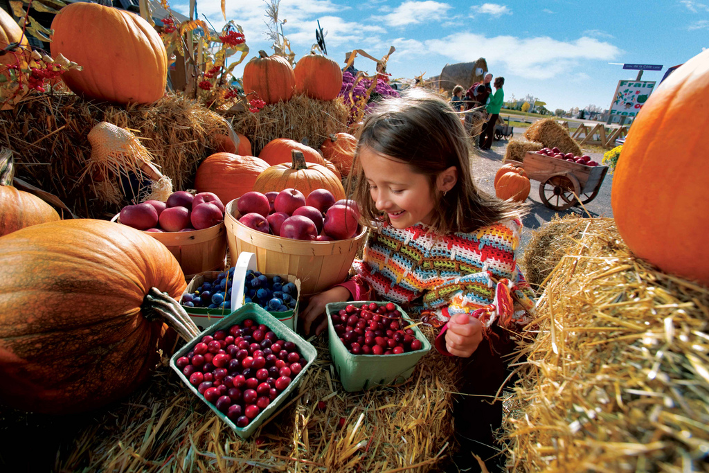 autumn in New Brunswick