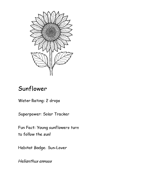 Coloring card of Sunflower with fun fact, superpower, and water rating