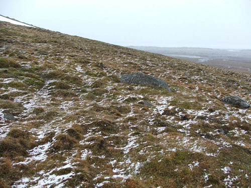 Arctic Tundra in the Winter