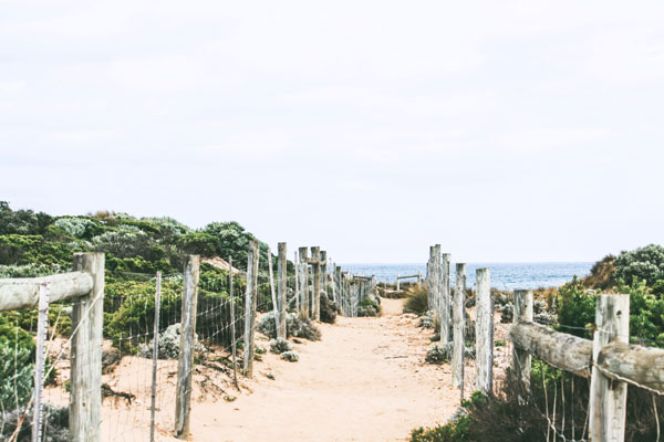 Fence across a beach