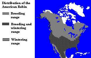 Distribution / Location