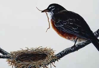 Nesting