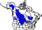 Sharp-Tailed Grouse Distribution/Location