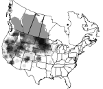 Yellow-Headed Blackbird Distribution & Location