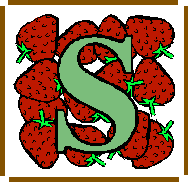 Letter S