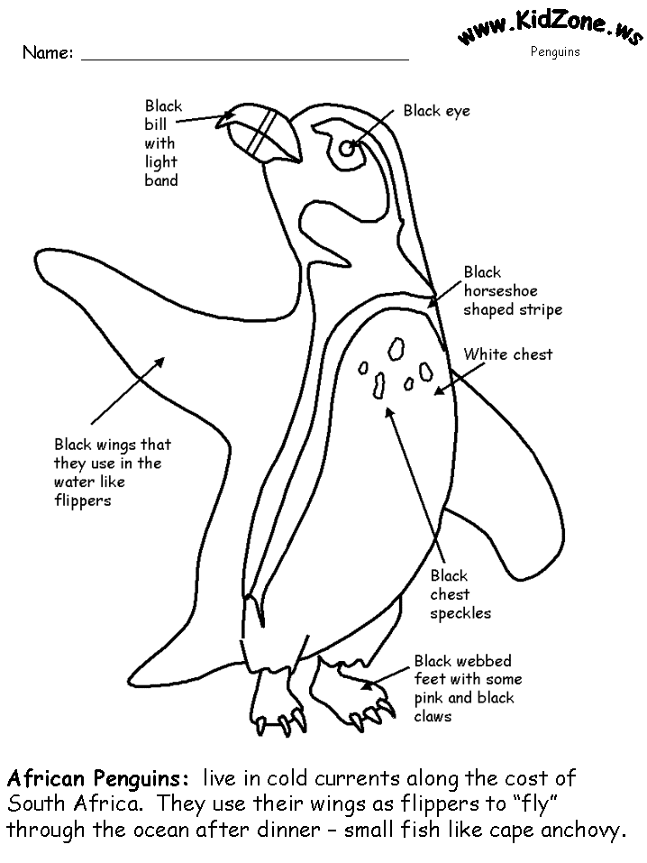 Penguin Body Parts :: Resources :: California Educators Together