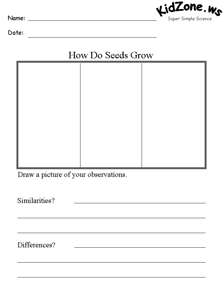 How Do Seeds Grow Experiment Observation Sheet