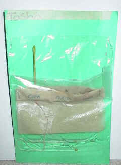 How Do Seeds Grow?