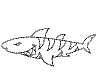 shark coloring pages