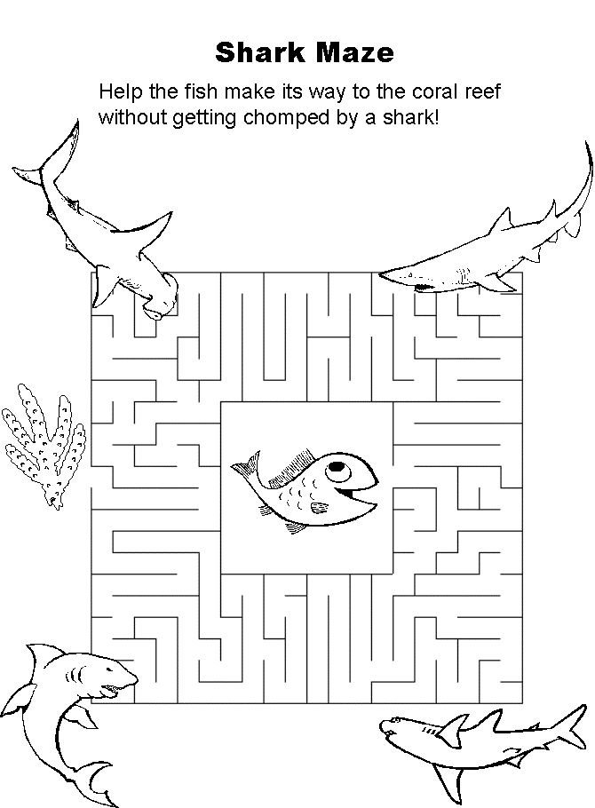 Shark Maze