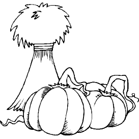 Themed Image
