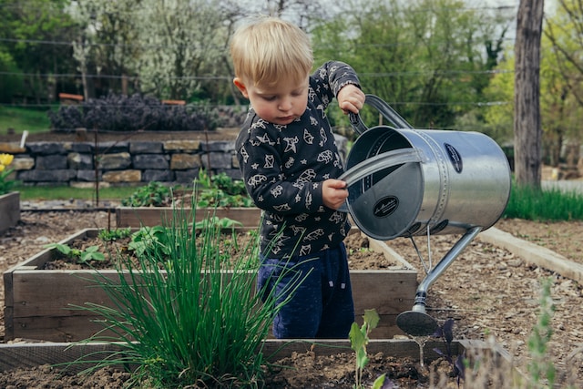 watering the garden