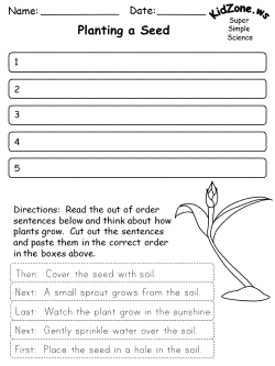 Out of order worksheet - plants